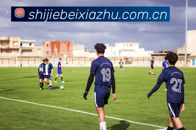 世界杯下注入口服务体系